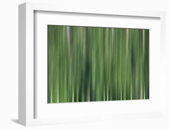 USA, North Carolina, Great Smoky Mountains. Forest blur.-Jaynes Gallery-Framed Photographic Print