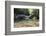 USA, North Carolina, Great Smoky Mountains National Park. Big Creek Trail. Midnight Hole-Trish Drury-Framed Photographic Print