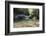 USA, North Carolina, Great Smoky Mountains National Park. Big Creek Trail. Midnight Hole-Trish Drury-Framed Photographic Print