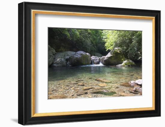 USA, North Carolina, Great Smoky Mountains National Park. Big Creek Trail. Midnight Hole-Trish Drury-Framed Photographic Print