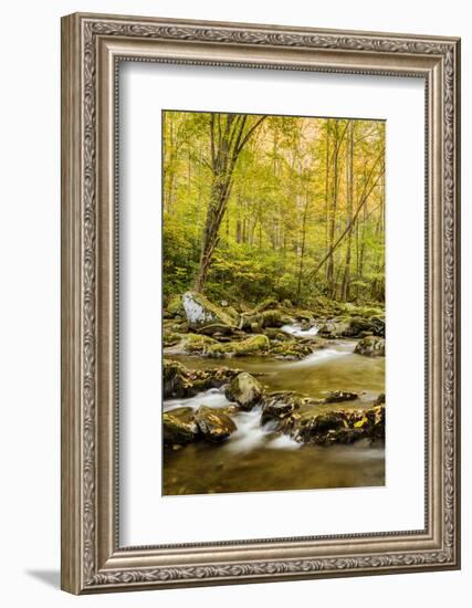 USA, North Carolina, Great Smoky Mountains National Park. Big Creek-Ann Collins-Framed Photographic Print