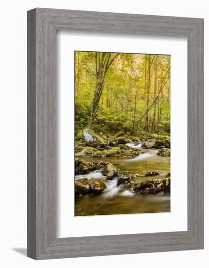 USA, North Carolina, Great Smoky Mountains National Park. Big Creek-Ann Collins-Framed Photographic Print