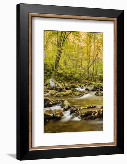 USA, North Carolina, Great Smoky Mountains National Park. Big Creek-Ann Collins-Framed Photographic Print