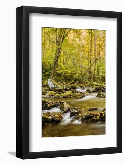 USA, North Carolina, Great Smoky Mountains National Park. Big Creek-Ann Collins-Framed Photographic Print