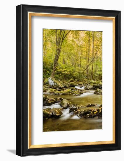 USA, North Carolina, Great Smoky Mountains National Park. Big Creek-Ann Collins-Framed Photographic Print
