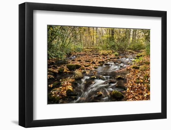 USA, North Carolina, Great Smoky Mountains National Park. Cataloochee Creek in Cataloochee Cove-Ann Collins-Framed Photographic Print