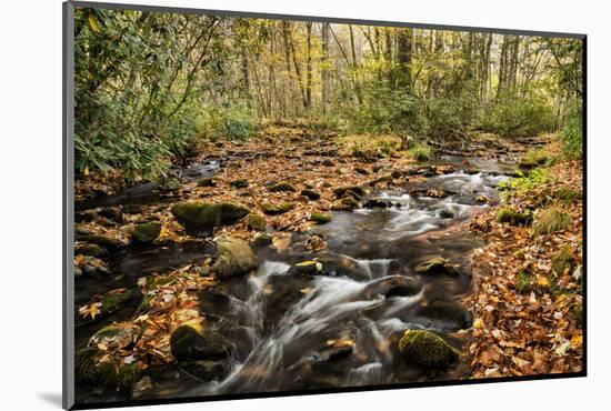 USA, North Carolina, Great Smoky Mountains National Park. Cataloochee Creek in Cataloochee Cove-Ann Collins-Mounted Photographic Print