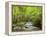 USA, North Carolina, Great Smoky Mountains National Park, Straight Fork Flows Through Forest-Ann Collins-Framed Premier Image Canvas