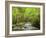 USA, North Carolina, Great Smoky Mountains National Park, Straight Fork Flows Through Forest-Ann Collins-Framed Photographic Print