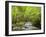 USA, North Carolina, Great Smoky Mountains National Park, Straight Fork Flows Through Forest-Ann Collins-Framed Photographic Print