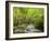 USA, North Carolina, Great Smoky Mountains National Park, Straight Fork Flows Through Forest-Ann Collins-Framed Photographic Print