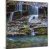 USA, North Carolina, Great Smoky Mountains. Scenic of Tom Branch Falls.-Jaynes Gallery-Mounted Photographic Print