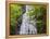 USA, North Carolina, Mingo Falls-Ann Collins-Framed Premier Image Canvas