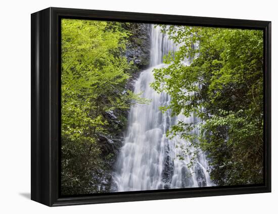 USA, North Carolina, Mingo Falls-Ann Collins-Framed Premier Image Canvas