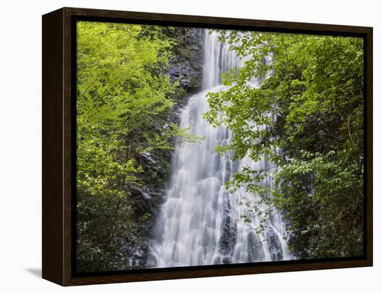 USA, North Carolina, Mingo Falls-Ann Collins-Framed Premier Image Canvas