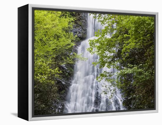 USA, North Carolina, Mingo Falls-Ann Collins-Framed Premier Image Canvas
