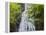 USA, North Carolina, Mingo Falls-Ann Collins-Framed Premier Image Canvas