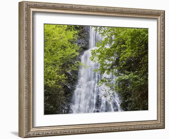 USA, North Carolina, Mingo Falls-Ann Collins-Framed Photographic Print