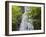 USA, North Carolina, Mingo Falls-Ann Collins-Framed Photographic Print