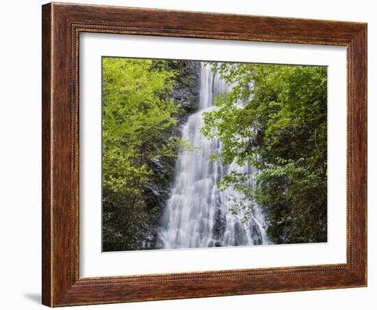 USA, North Carolina, Mingo Falls-Ann Collins-Framed Photographic Print