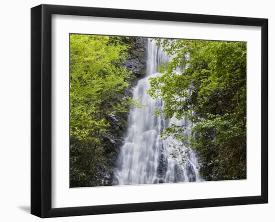 USA, North Carolina, Mingo Falls-Ann Collins-Framed Photographic Print