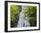 USA, North Carolina, Mingo Falls-Ann Collins-Framed Photographic Print