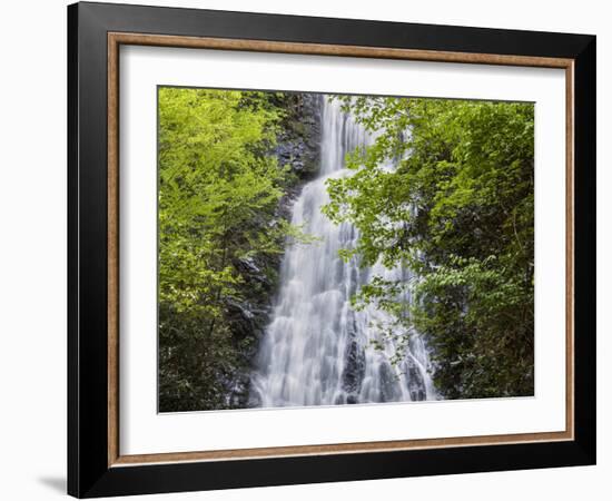 USA, North Carolina, Mingo Falls-Ann Collins-Framed Photographic Print