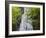 USA, North Carolina, Mingo Falls-Ann Collins-Framed Photographic Print