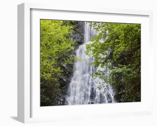 USA, North Carolina, Mingo Falls-Ann Collins-Framed Photographic Print