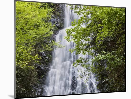 USA, North Carolina, Mingo Falls-Ann Collins-Mounted Photographic Print