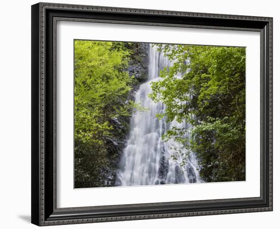 USA, North Carolina, Mingo Falls-Ann Collins-Framed Photographic Print