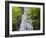 USA, North Carolina, Mingo Falls-Ann Collins-Framed Photographic Print