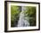 USA, North Carolina, Mingo Falls-Ann Collins-Framed Photographic Print