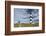 USA, North Carolina, Outer Banks National Seashore, Bodie Island, Bodie Island Lighthouse-Walter Bibikow-Framed Photographic Print