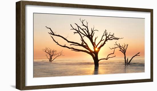 USA, North Carolina. Sunrise at Botany Bay Plantation-Jaynes Gallery-Framed Photographic Print