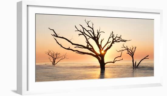 USA, North Carolina. Sunrise at Botany Bay Plantation-Jaynes Gallery-Framed Photographic Print