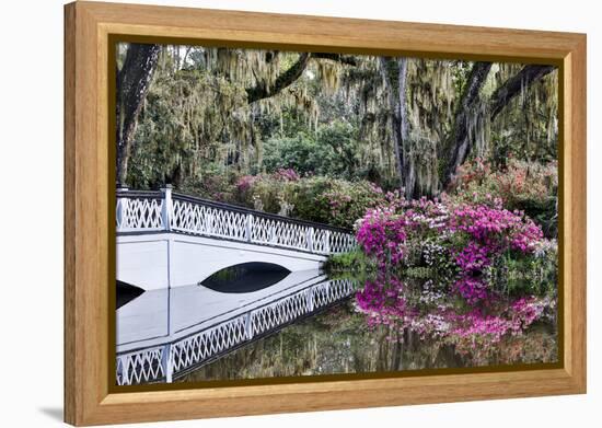 USA, North Carolina., white bridge with Azaleas and moss-covered tree-Hollice Looney-Framed Premier Image Canvas