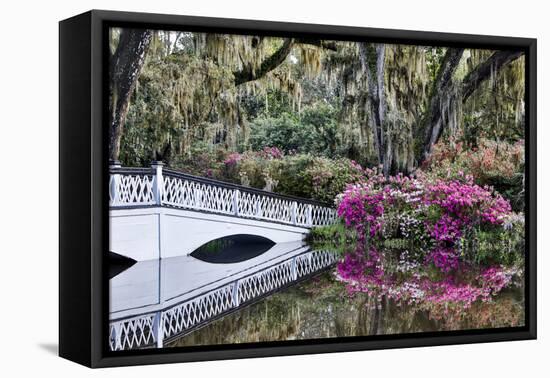 USA, North Carolina., white bridge with Azaleas and moss-covered tree-Hollice Looney-Framed Premier Image Canvas