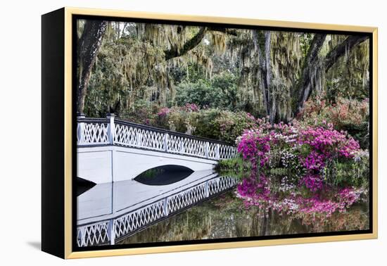 USA, North Carolina., white bridge with Azaleas and moss-covered tree-Hollice Looney-Framed Premier Image Canvas