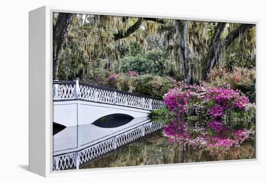 USA, North Carolina., white bridge with Azaleas and moss-covered tree-Hollice Looney-Framed Premier Image Canvas