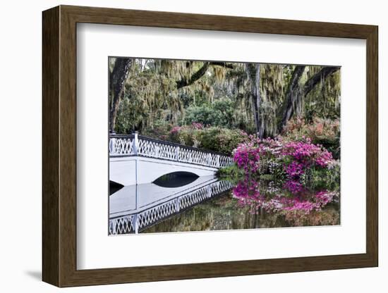 USA, North Carolina., white bridge with Azaleas and moss-covered tree-Hollice Looney-Framed Photographic Print