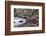 USA, North Carolina., white bridge with Azaleas and moss-covered tree-Hollice Looney-Framed Photographic Print