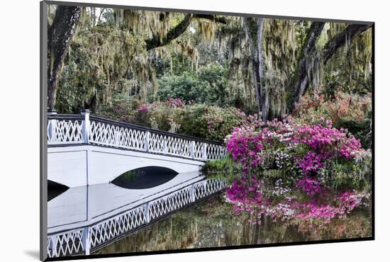 USA, North Carolina., white bridge with Azaleas and moss-covered tree-Hollice Looney-Mounted Photographic Print