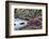 USA, North Carolina., white bridge with Azaleas and moss-covered tree-Hollice Looney-Framed Photographic Print