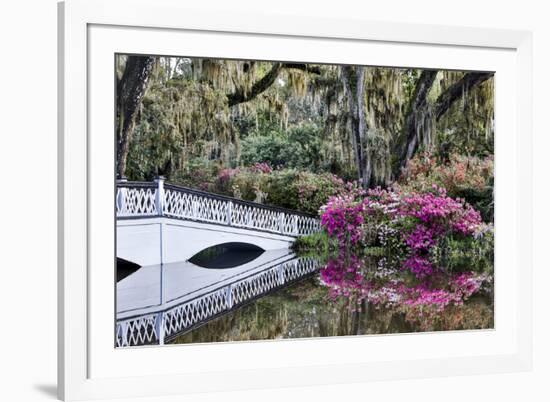 USA, North Carolina., white bridge with Azaleas and moss-covered tree-Hollice Looney-Framed Premium Photographic Print