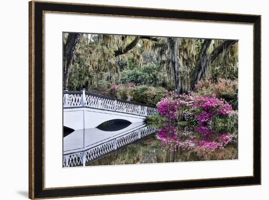 USA, North Carolina., white bridge with Azaleas and moss-covered tree-Hollice Looney-Framed Premium Photographic Print