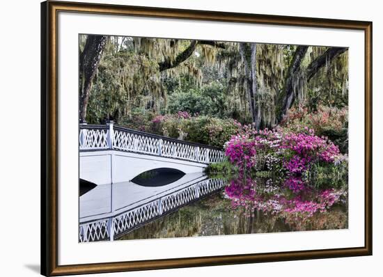 USA, North Carolina., white bridge with Azaleas and moss-covered tree-Hollice Looney-Framed Premium Photographic Print