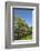 USA, North Carolina. Wooden Garden Fence-Don Paulson-Framed Photographic Print