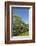 USA, North Carolina. Wooden Garden Fence-Don Paulson-Framed Photographic Print