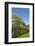 USA, North Carolina. Wooden Garden Fence-Don Paulson-Framed Photographic Print